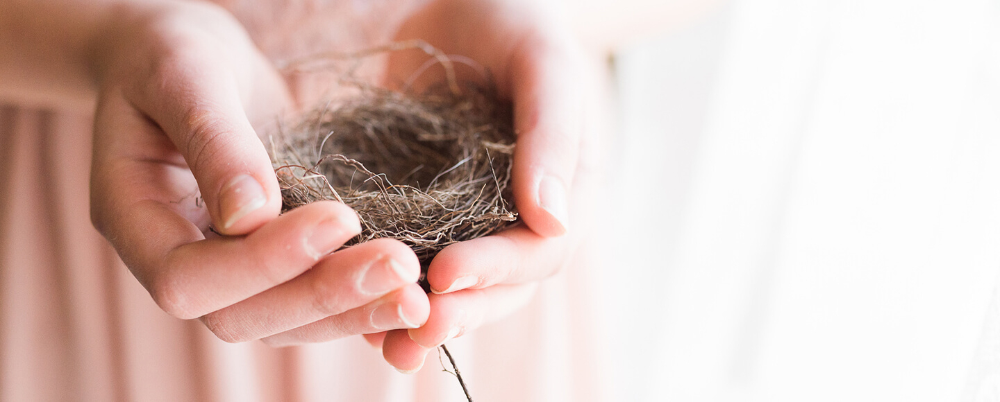 Hands holding an empty bird’s nest, symbolising empty nest syndrome and the emotional shift of becoming an empty nester