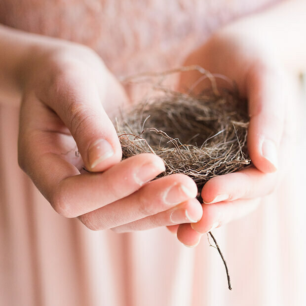 Hands holding an empty bird’s nest, symbolising empty nest syndrome and the emotional shift of becoming an empty nester